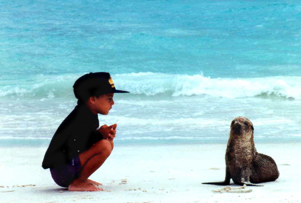 boy and seal