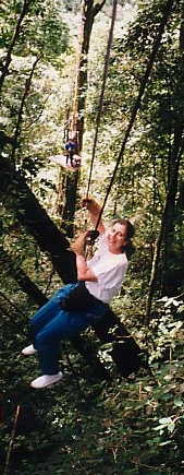 Cable rapelling in a Panamanian jungle.